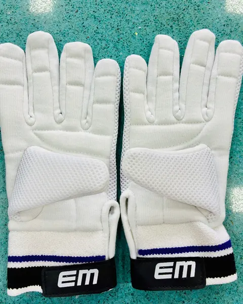 EM Cotton Padded Wicket Keeping Inners, photo 3