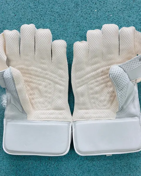 SF Limited Edition Wicket-Keeping Gloves, photo 2