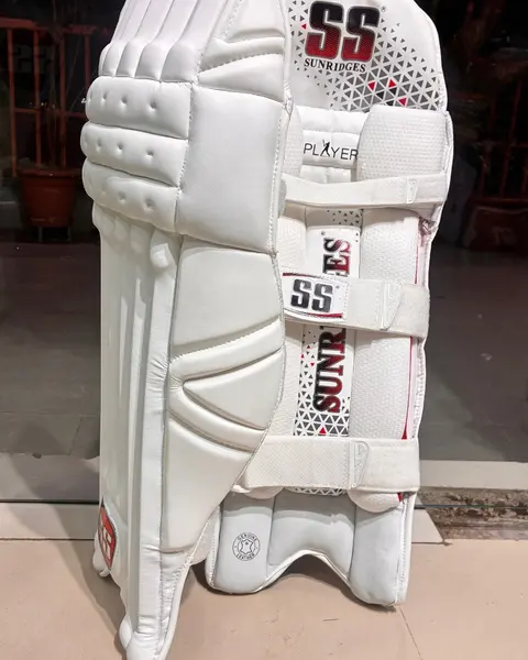 SS Players Batting Pads, photo 4