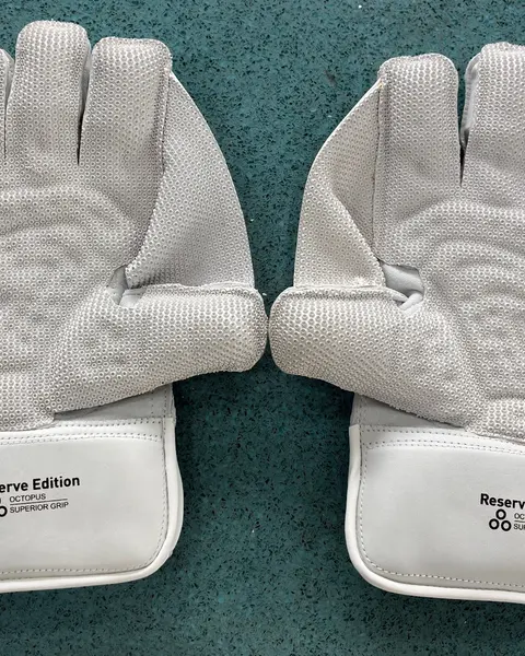 SS Reserve Edition Wicket Keeping Gloves, photo 3